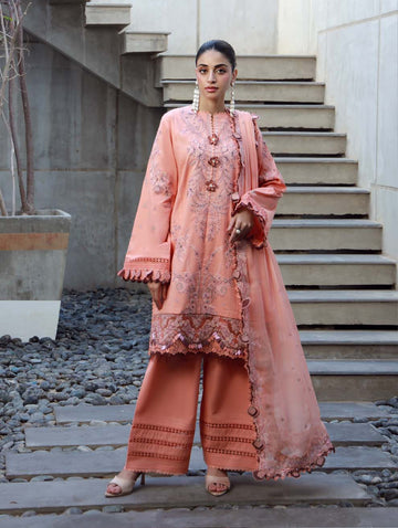 Jade D-9 LE PREMIER VOL-II Summer 25